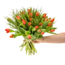 Kytice červených tulipánů